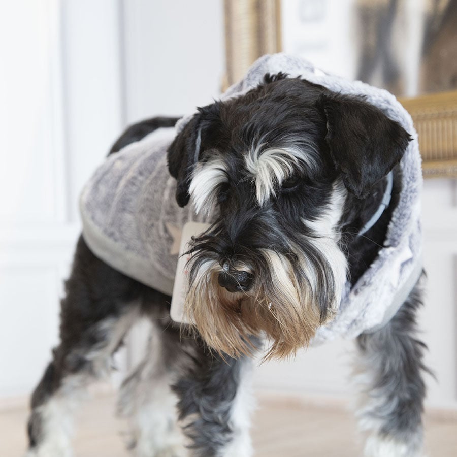 Outech Fleece Sudadera Gris con Estampado de Estrellas para perros, , large indicador imagen numero 5